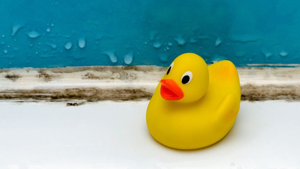yellow rubber duck next to moldy and wet wall after bathroom water damage