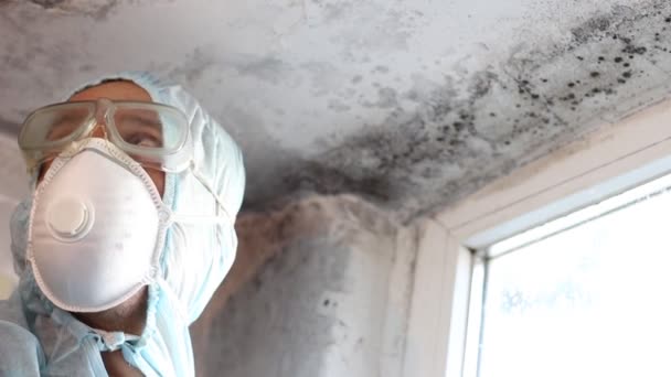 How To Arrange For Mold Inspection Testing After Water Damage