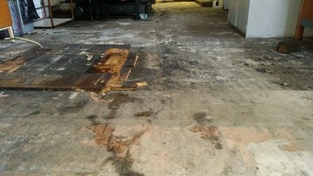 a. Hardwood floor water damage