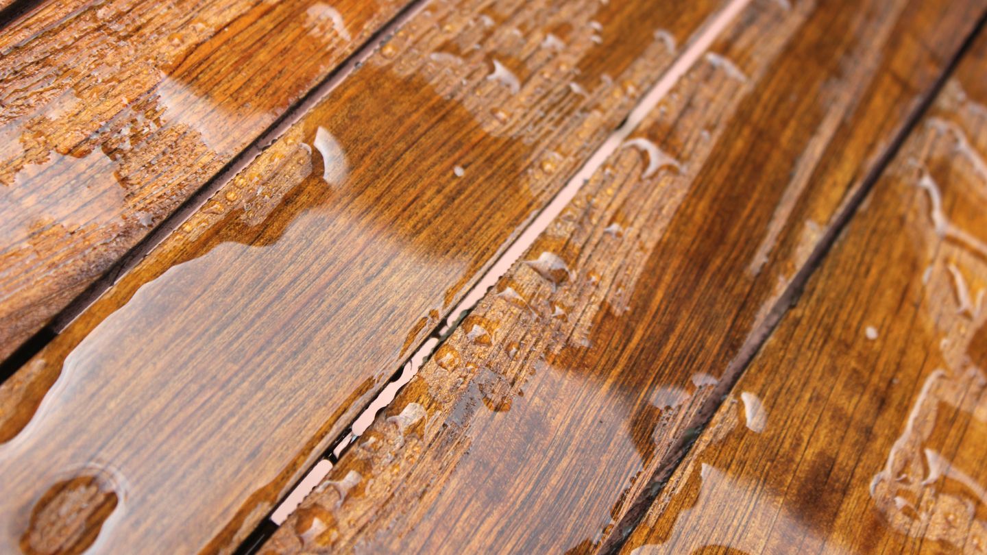wet hardwood floor