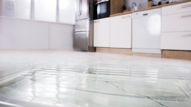 5 Most Common Homeowner Insurance Questions When Dealing with Water Damage