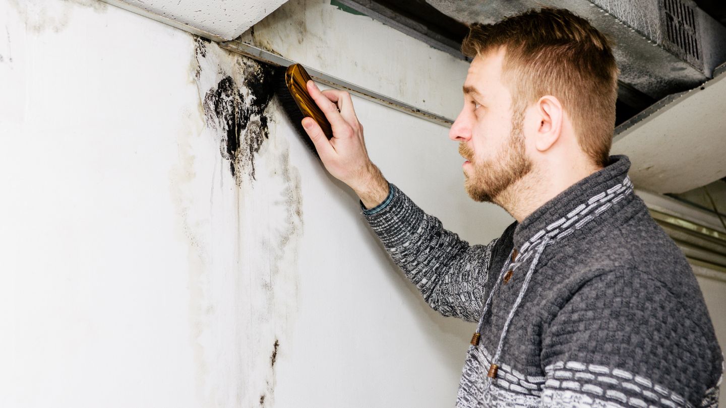 man scrubbing black mold off of white wall in home