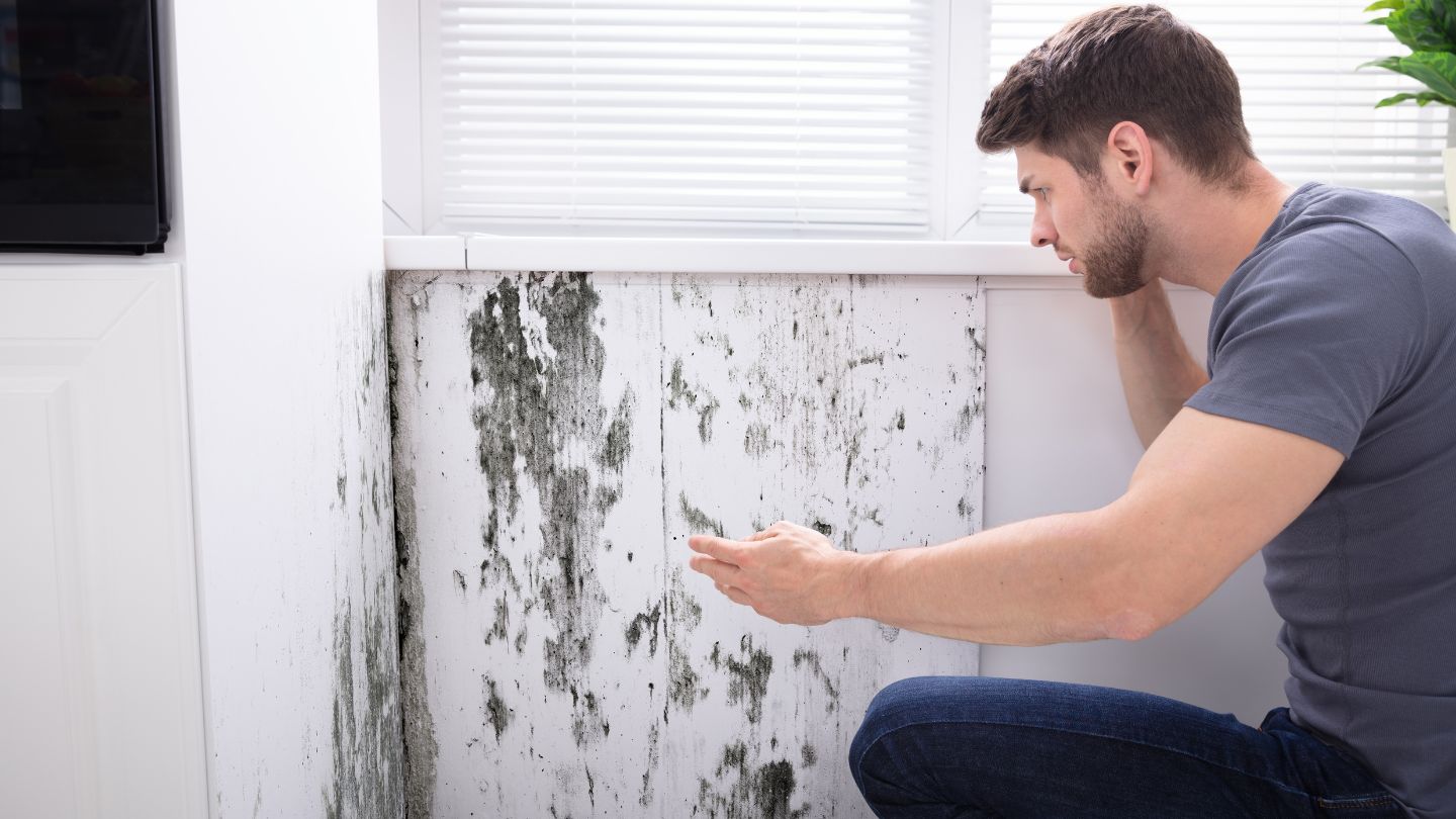 man looking at black mold on wall in his home while on phone