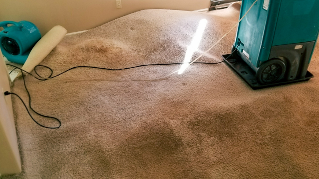 carpet-water-damage