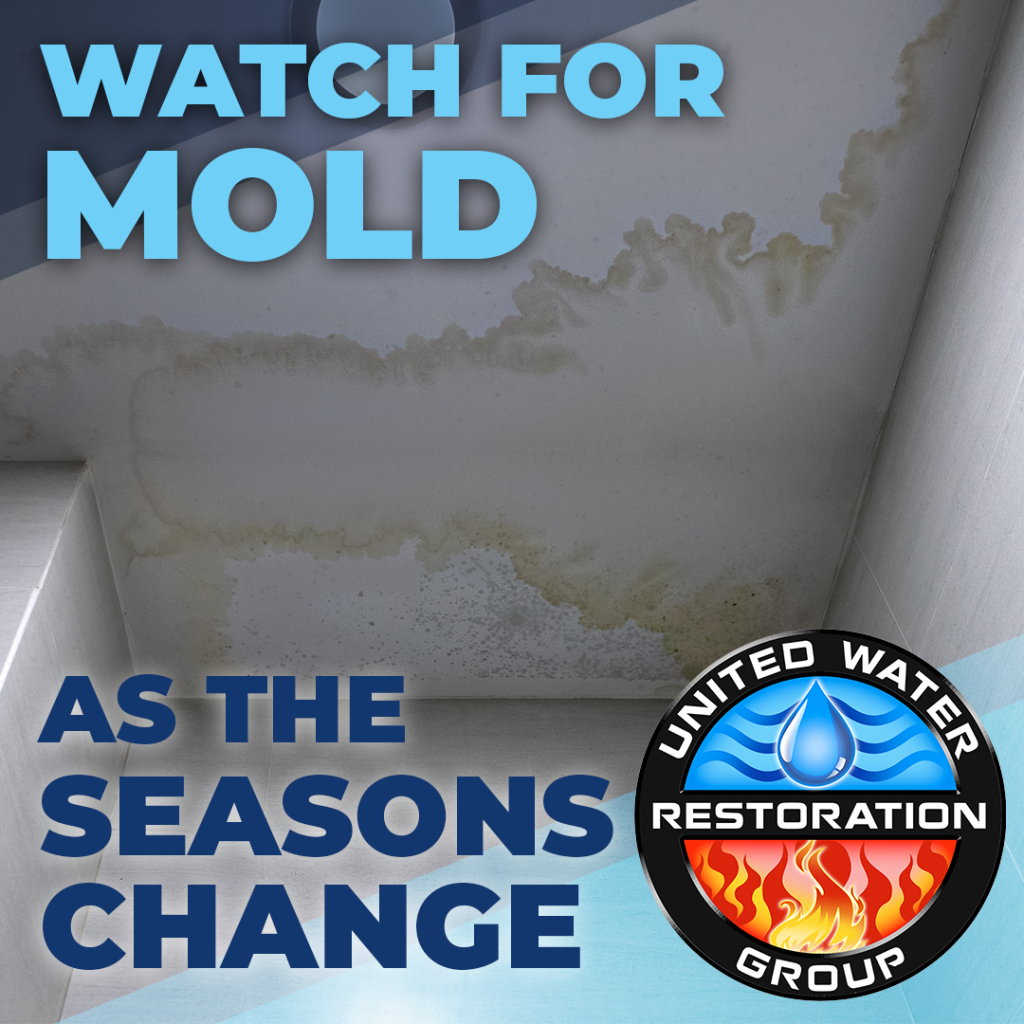 Watch for mold as the seasons change graphic