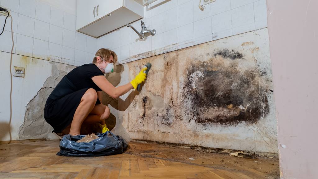 A man wearing a mask and gloves cleaning mold off a wall of a kitchen under renovation.
