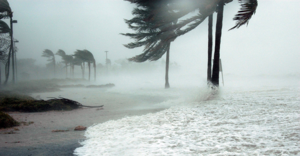 Storm Damage