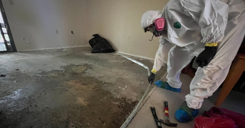 Professional Mold Cleanup