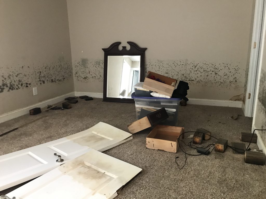 Mold along the lower walls of a water-damaged bedroom