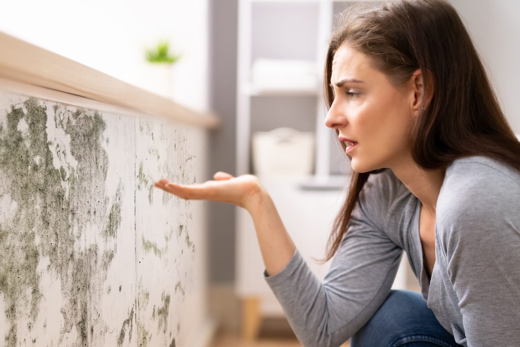 Homeowner looking at mold spreading along a wall