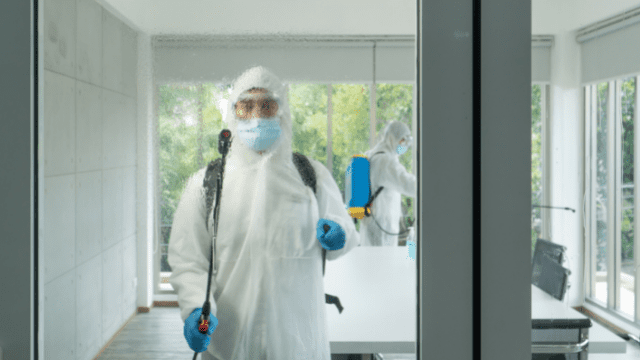 disinfecting-window-surface-cleaning