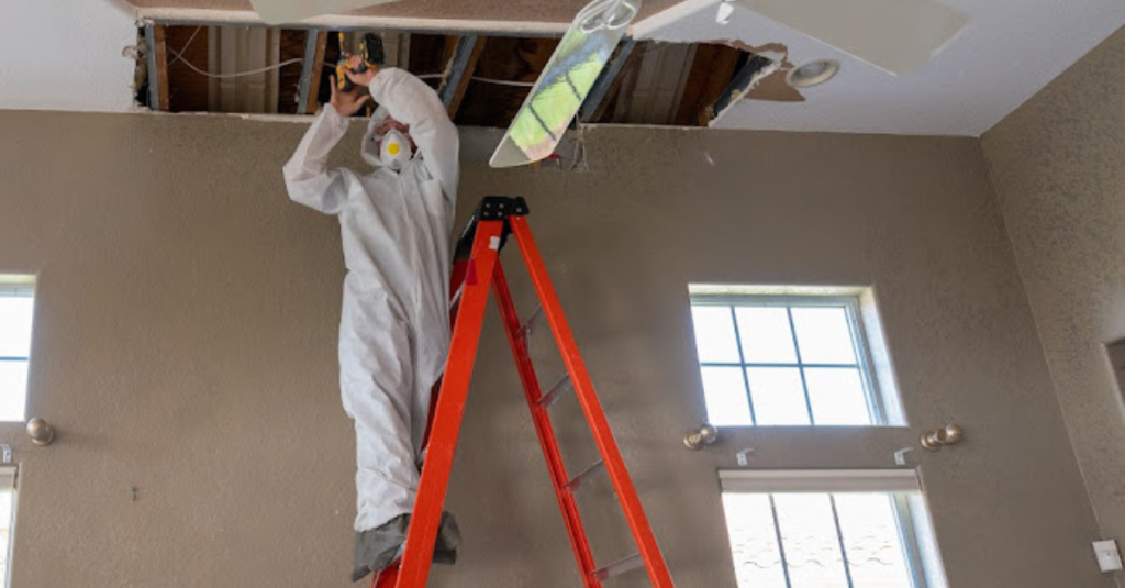 cost-mold-remediation-in-jacksonville