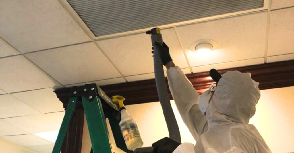 Mold Odor Removal