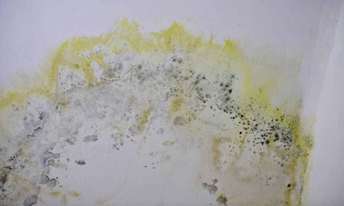 Damaged ceiling with peeled paint from water damage