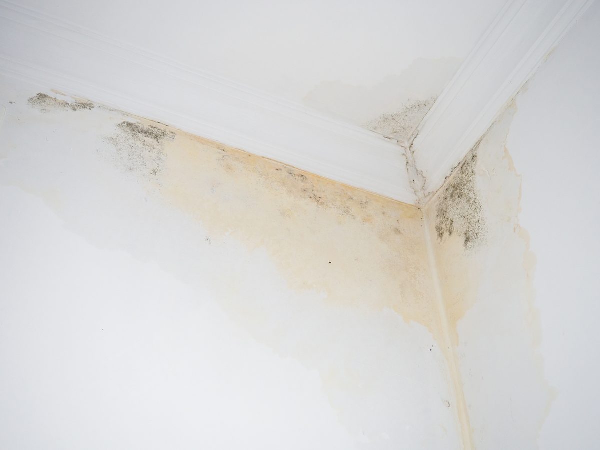 Water leak staining a white ceiling