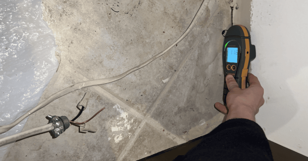 Visual Mold Assessment