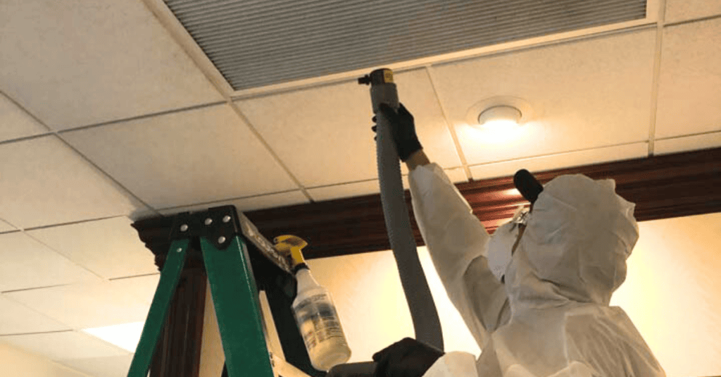 Mold Odor Removal