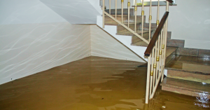 Water Removal