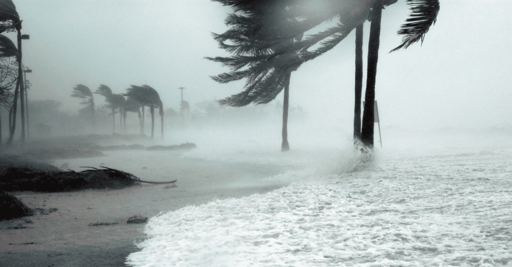 Storm Damage