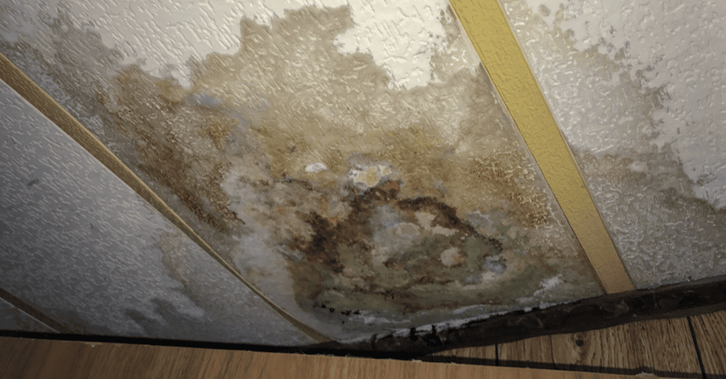 Ceiling Water Damage