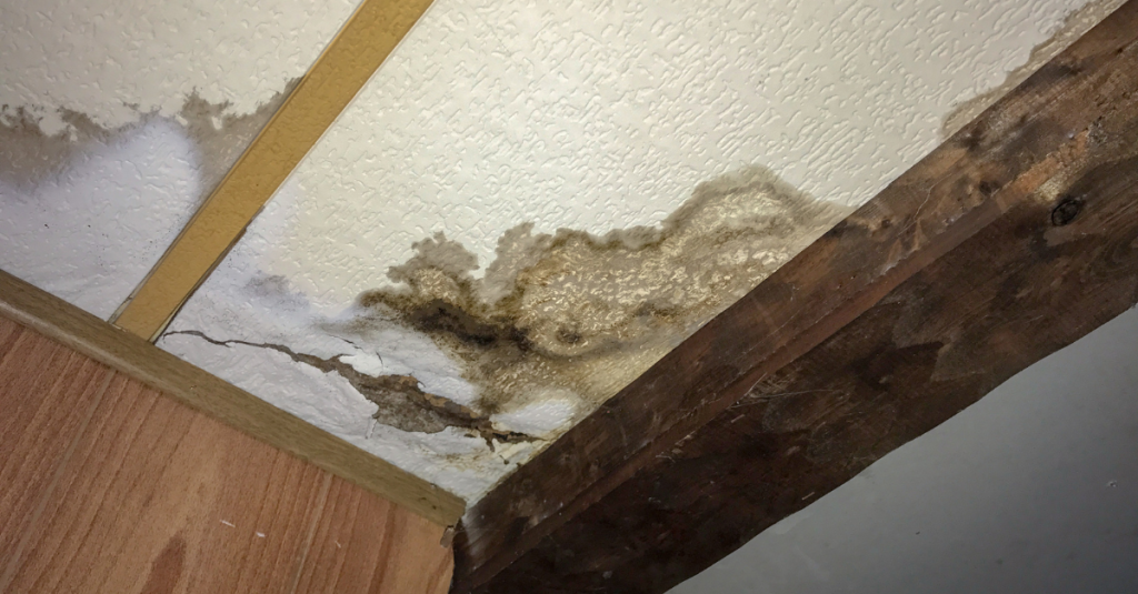 Water Damage Cleanup
