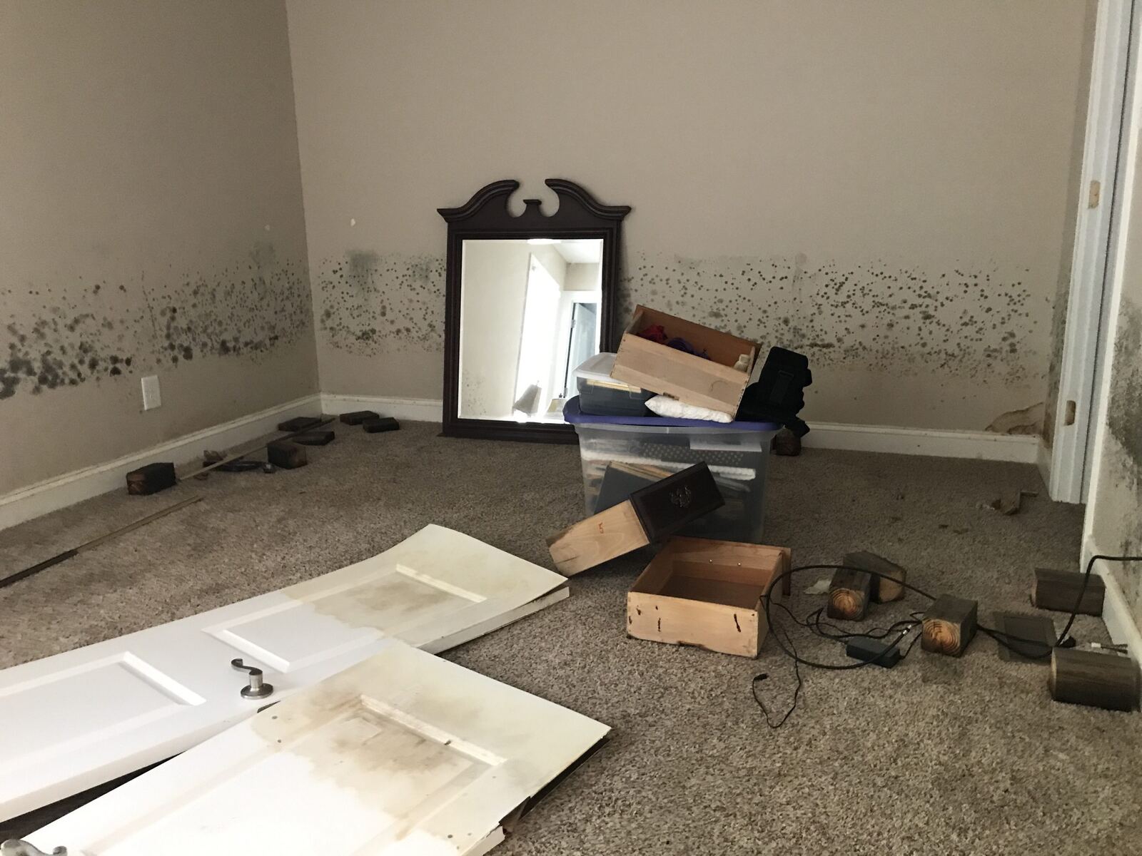 Visible mold growth on interior walls in an Orlando home