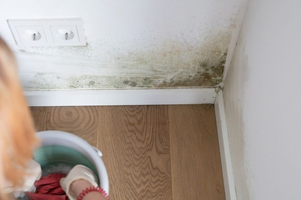 Hidden Water Damage Behind Walls