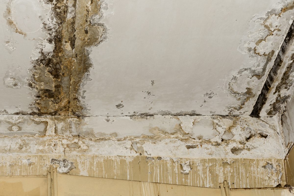 Water damage and mold on a commercial building ceiling