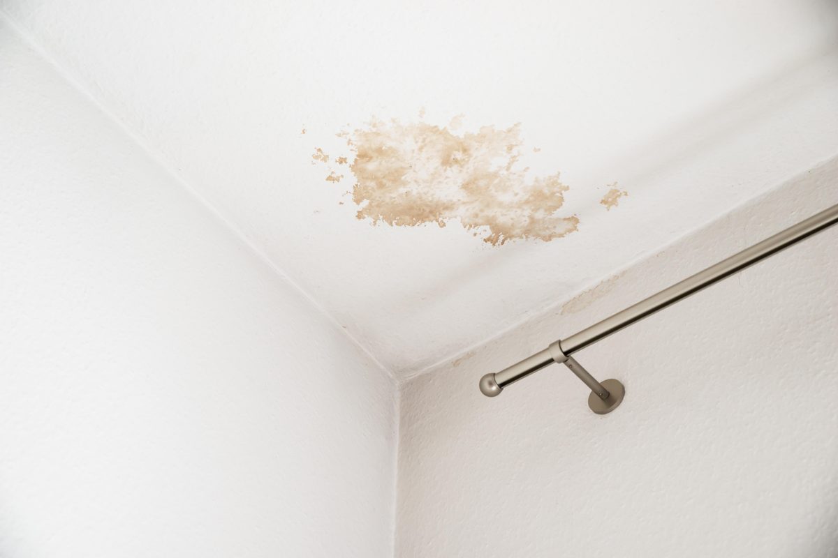 Ceiling damaged by a water leak