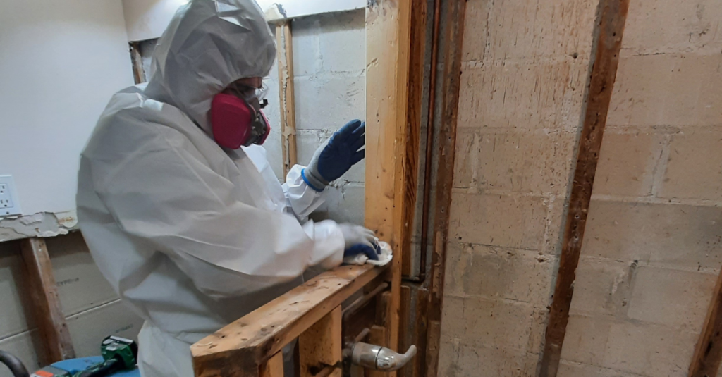 toxic-mold-removal-performed-by-united-water-restoration-group-of-tampa