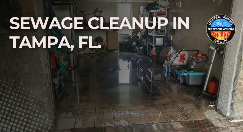 Sewage Cleanup in Tampa, FL.