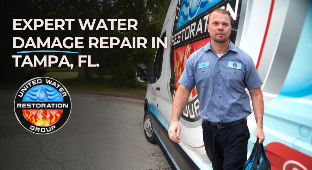 Tampa Expert Water Damage Repair in Tampa, FL.