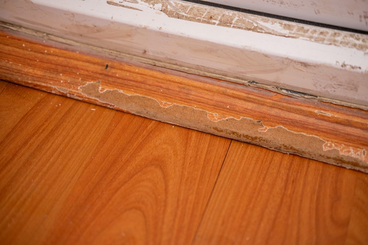 Water damage on a hardwood floor and baseboard in a Tampa home