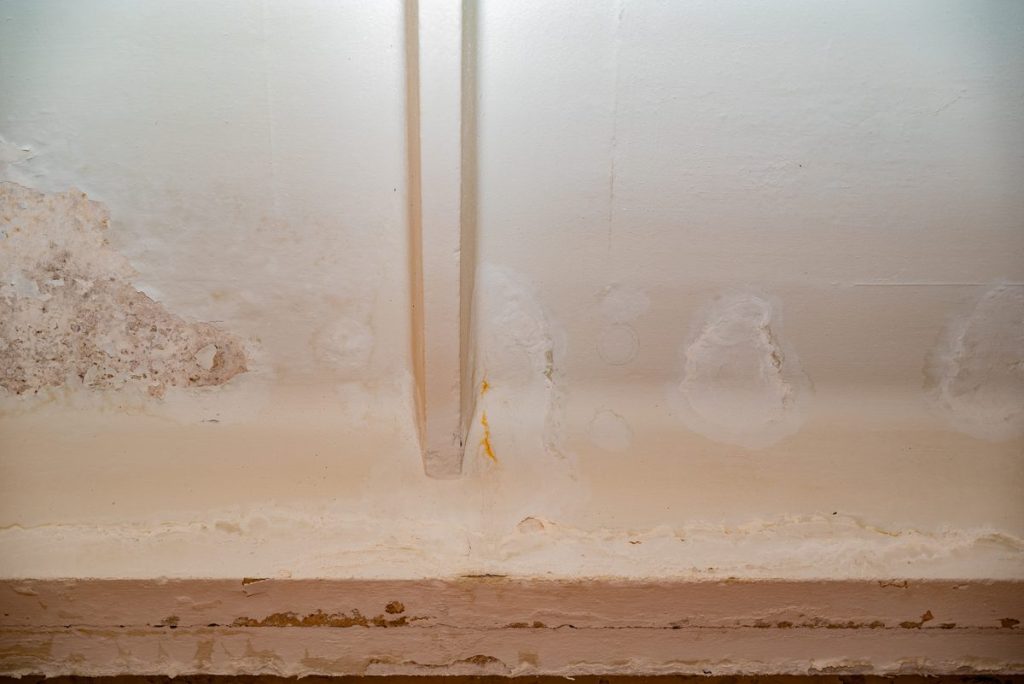 Peeling paint and mildew from water damage behind a wall